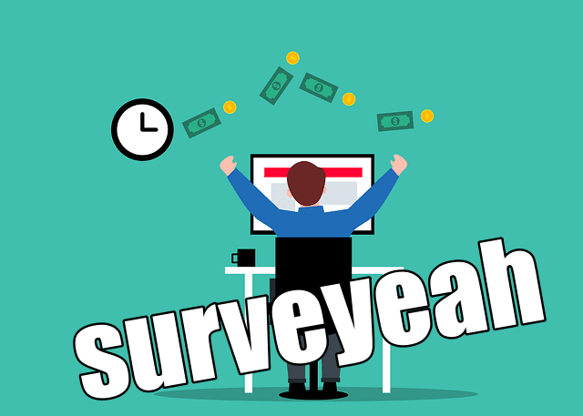 الربح من الانترنت أزيد من 100 دولار شهرياً (شرح كيفية الربح من موقع surveyeah)