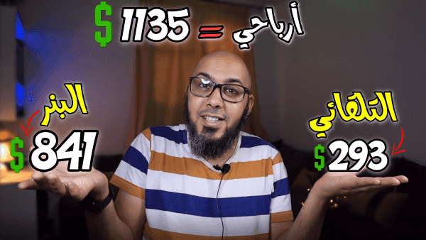 هل الإعلانات التلقائية مربحة؟ كيفية حساب أرباحها