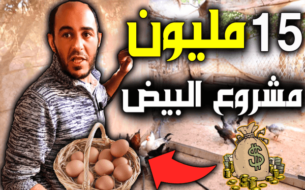 مشروع الدواجن في المغرب  مشروع تصل ارباحه الى 15 مليون