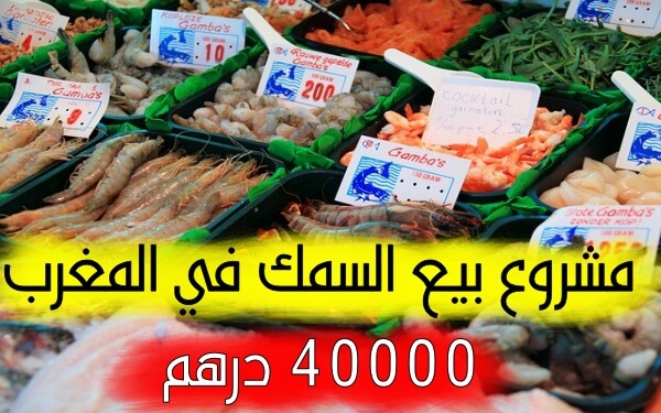 مشروع مربح في المغرب تصل اربحه 40000 درهم شهرياً  مشروع مطعم لبيع السمك في المغرب
